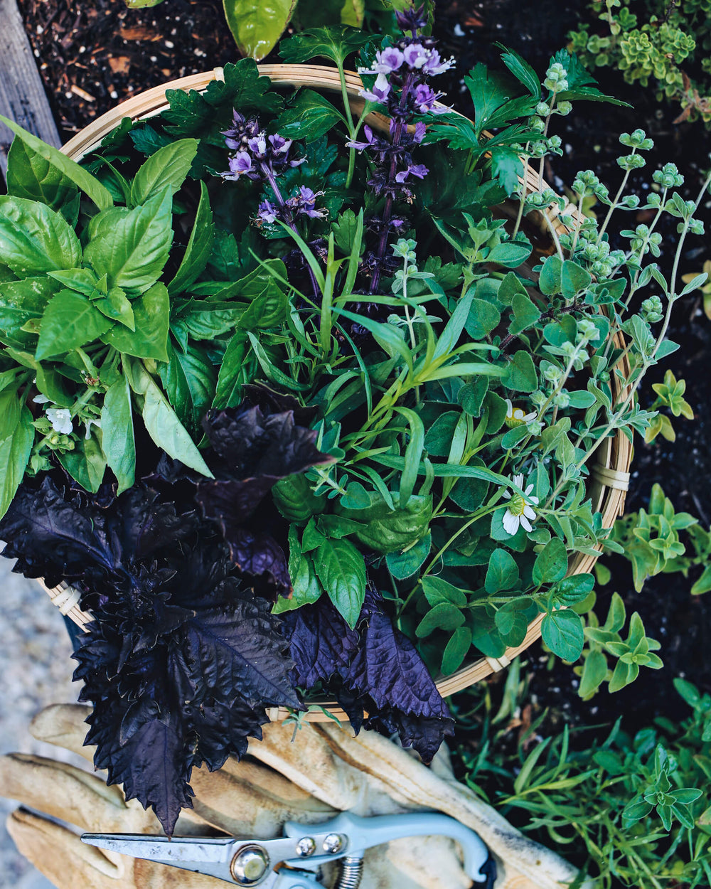 Together, Let’s GroMoreGood