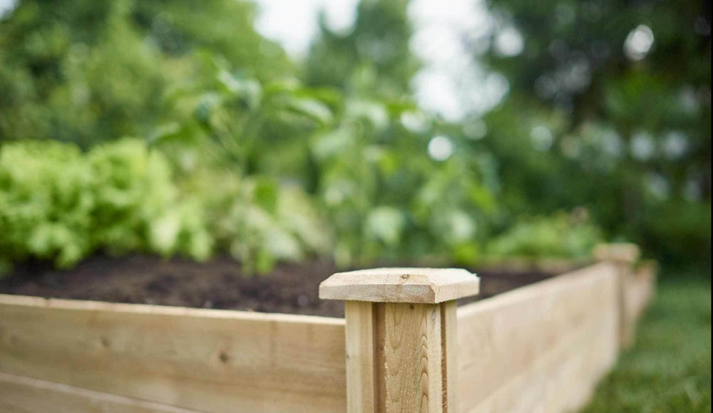 Raised Bed Garden