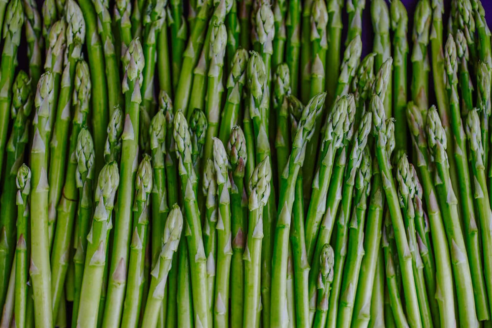 Growing Asparagus