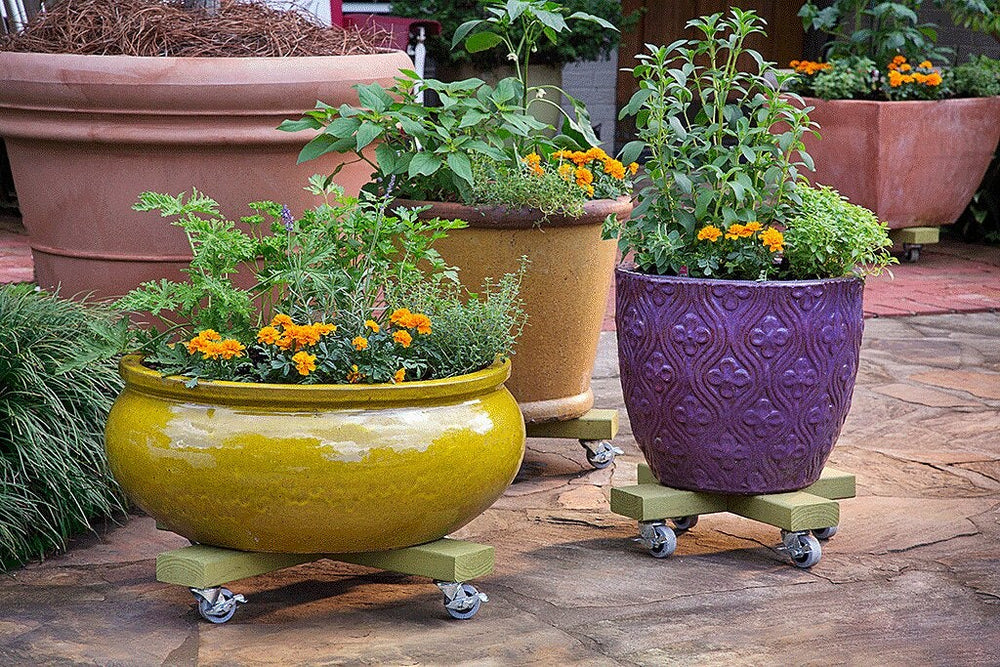 DIY Plant Caddy: 3 caddies
