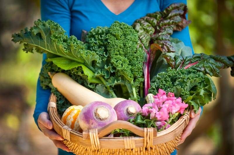 Fall gardens include many beautiful and nutritious vegetables that tolerate cold.