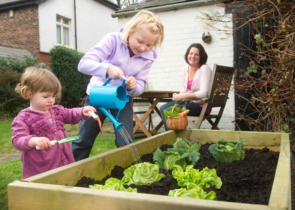 Gardening with an HOA: kids watering lettuce