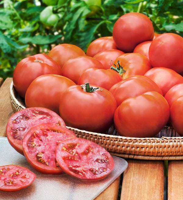 Tomatoes That'll Cover Your Bread Slice