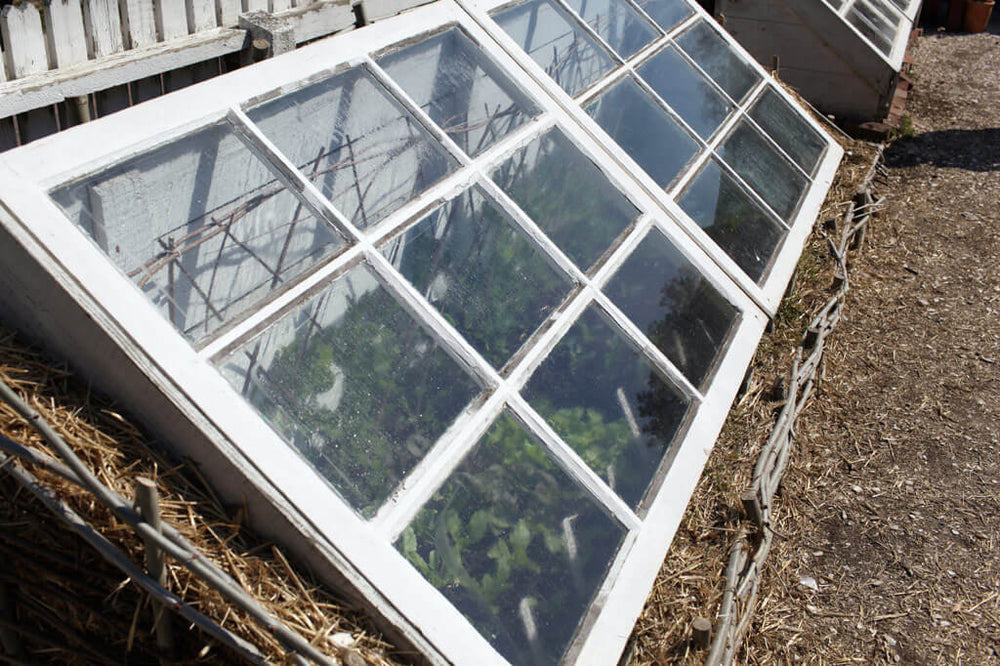 Window Frame Green House