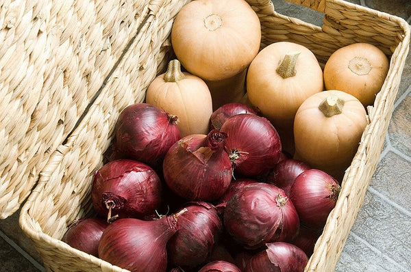 Store Veggies: Red Onions and Butternut in Basket
