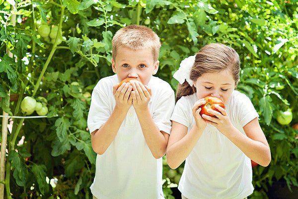 Kids in the Garden: Kids Eating Tomatoes