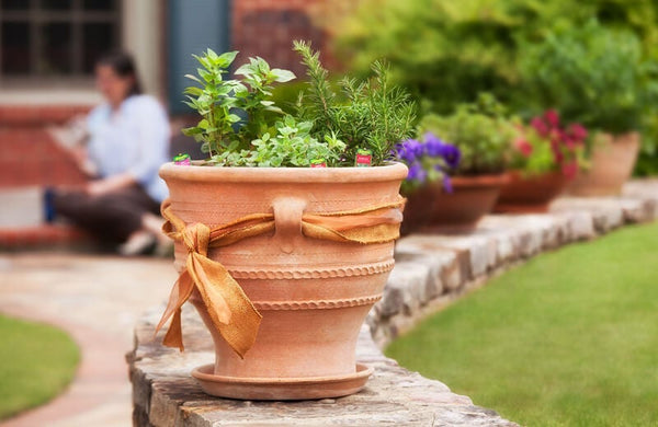 Give Mom a container herb garden for a Mother's Day gift that grows.