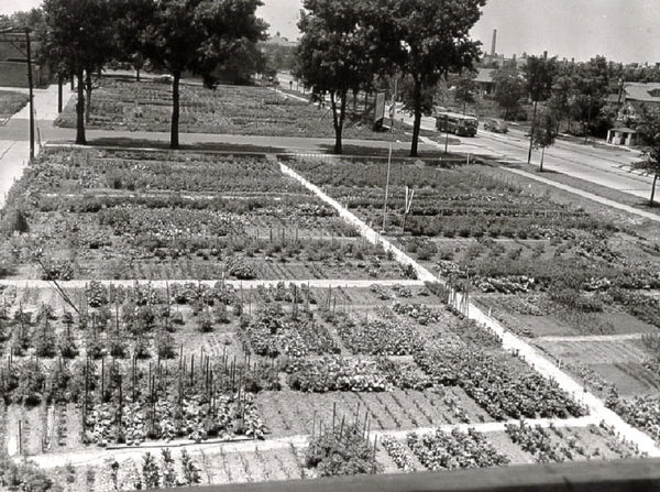 Victory Gardens still Matter