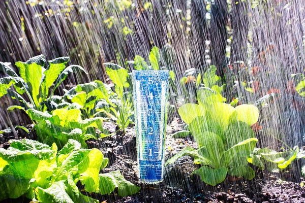 rain gauge in garden during rain shower