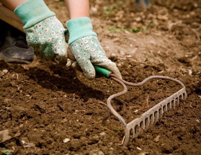 Depending on your region, the time to work the soil could be early or late spring.