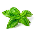 Bonnie Plants