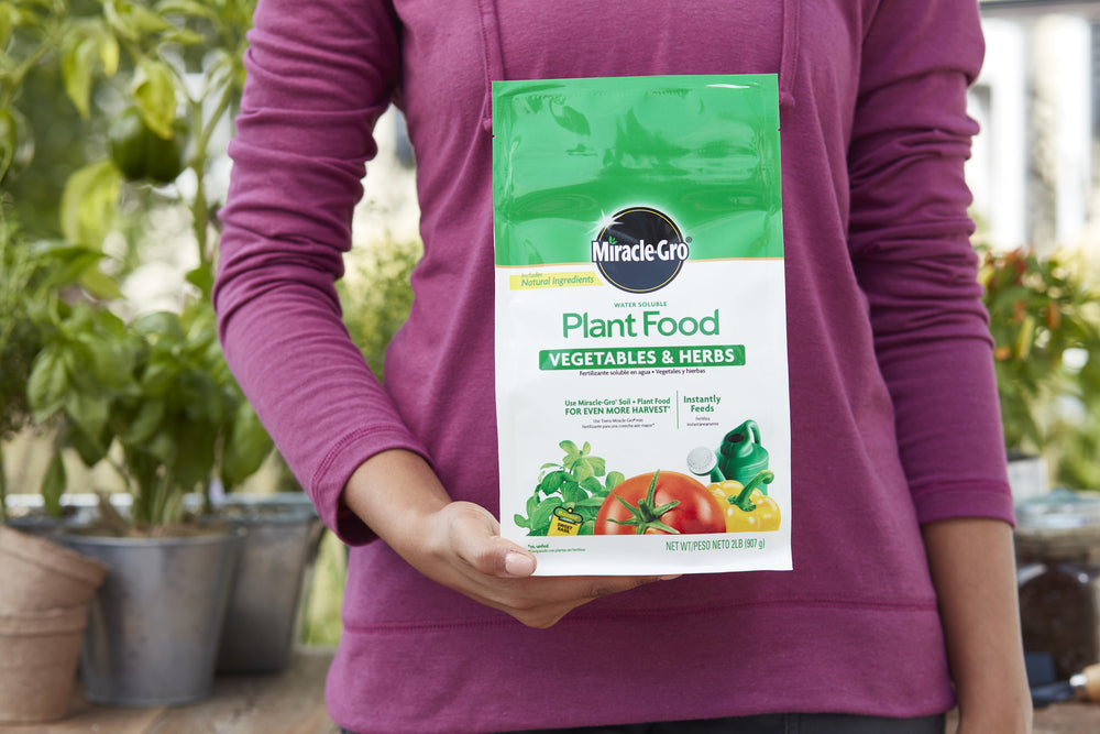 Miracle-Gro® Water Soluble Plant Food Vegetables and Herbs