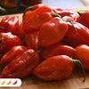 Habanero Primero Red Hot Pepper (2 Pack)