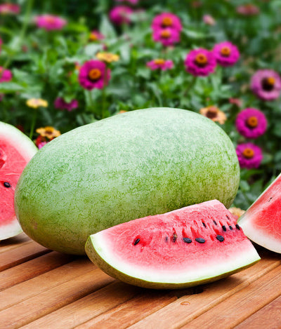Charleston Gray Watermelon