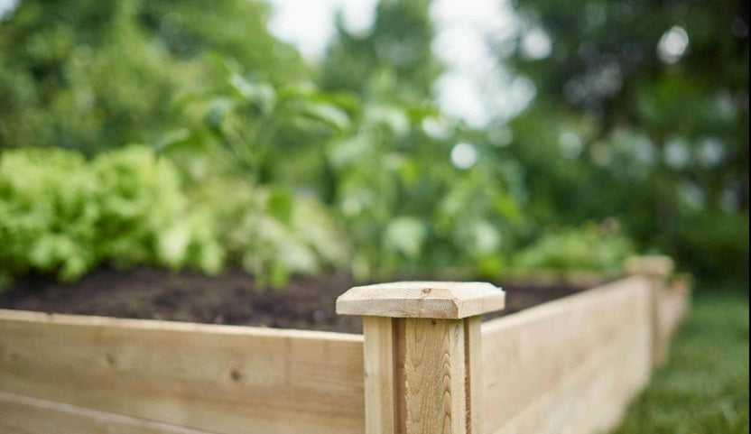 Create an Easy 4x4 Kid-Focused Garden Bed | Bonnie Plants