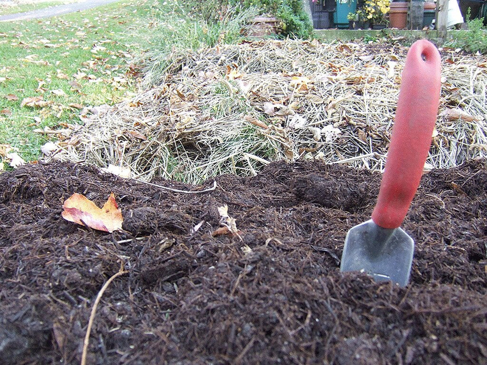 Prep Soil: add compost