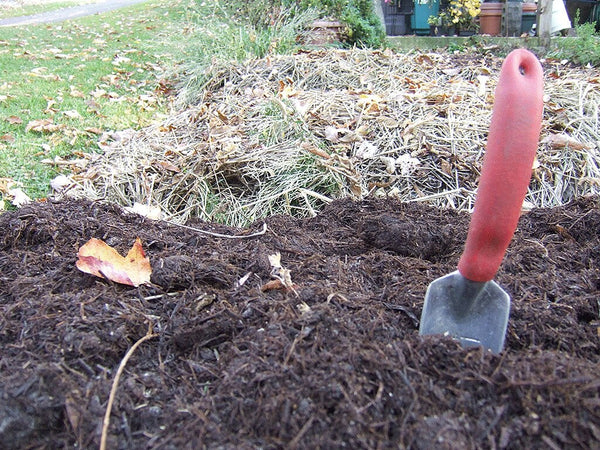 Prep Soil: add compost