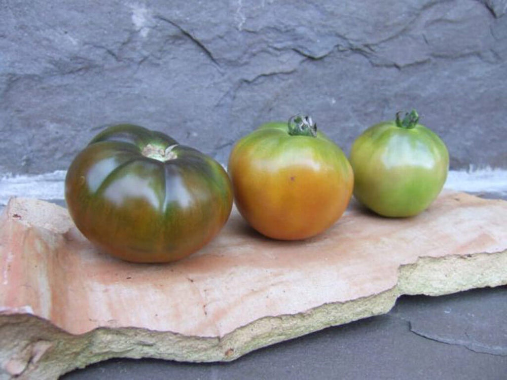 3 tomatoes of varying ripeness