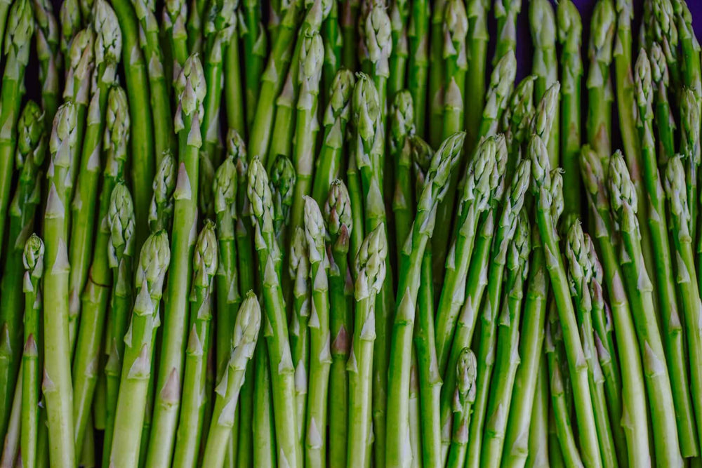 to Grow Asparagus in Your – Plants
