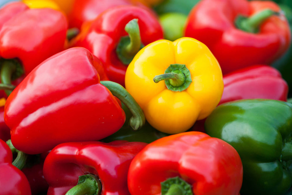 The home gardener's guide to sweet bell pepper colors and flavors