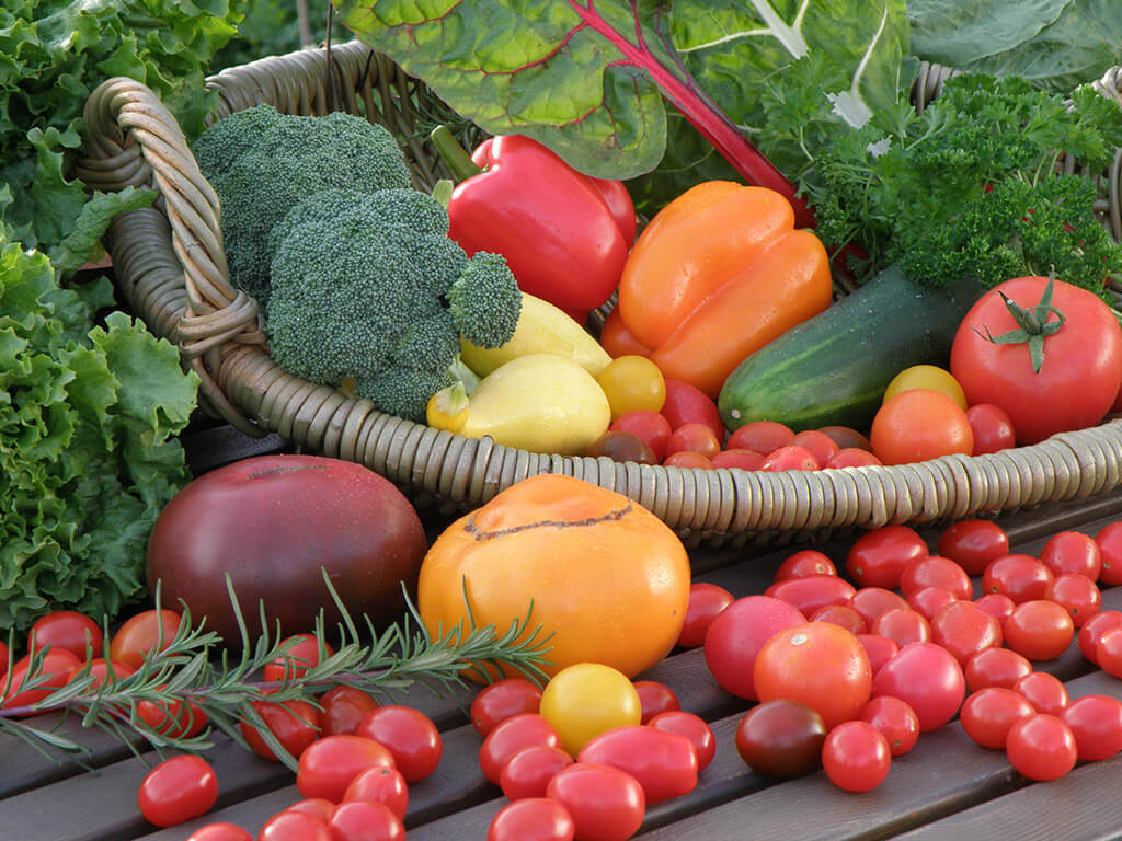 fruit & vegetable zip slicer - household items - by owner