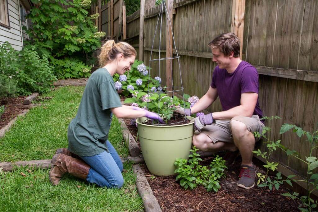 10 Gardening Mistakes to Avoid at All Costs