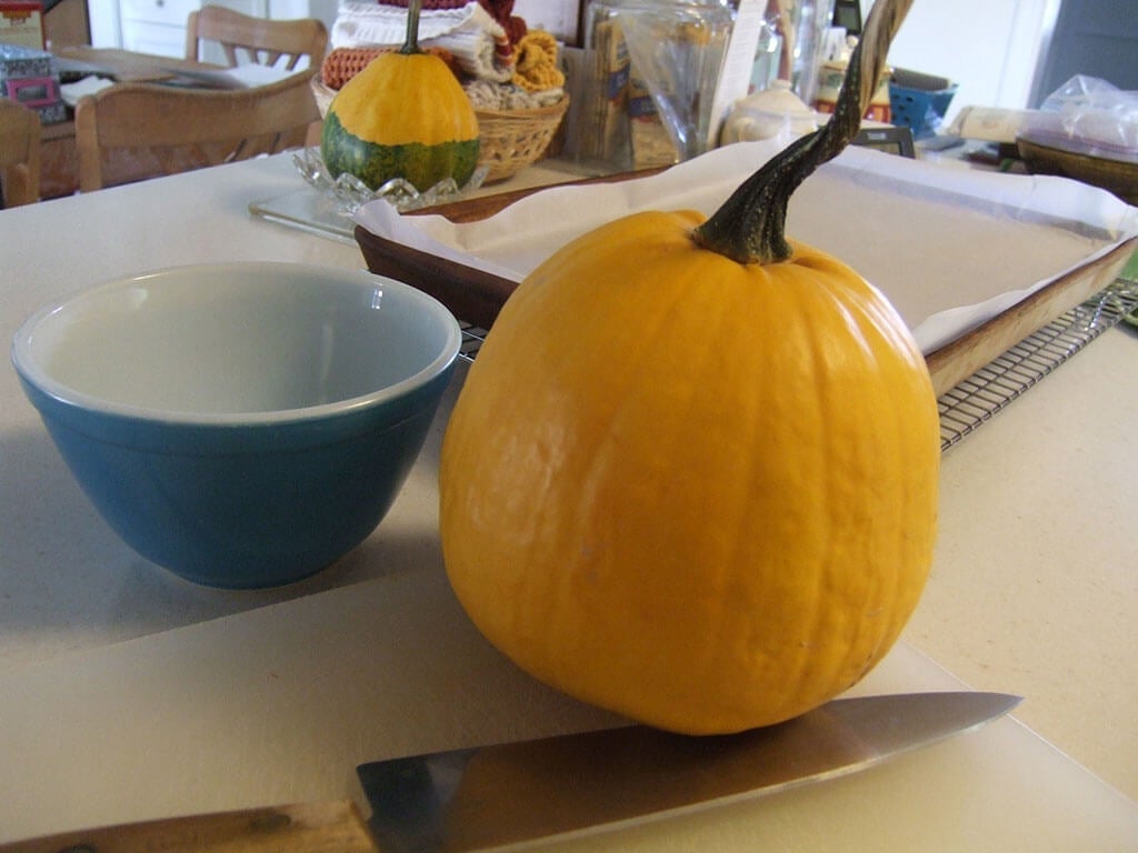 Pumpkin Cake with Olive Oil - YouTube