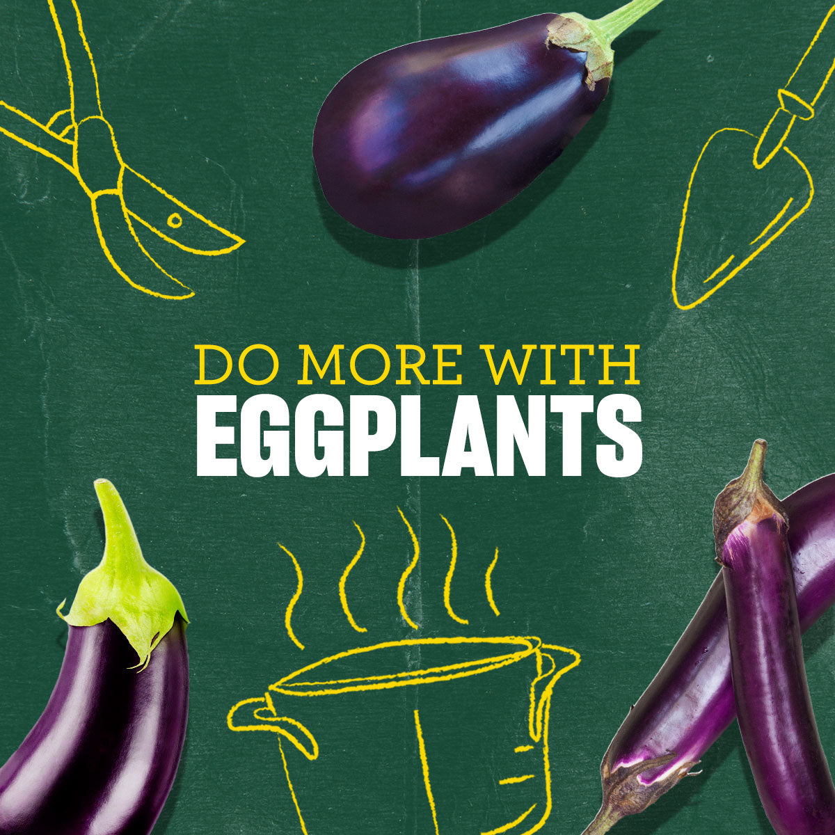 eggplantページ SRSEggplantLongPurpleFront_108