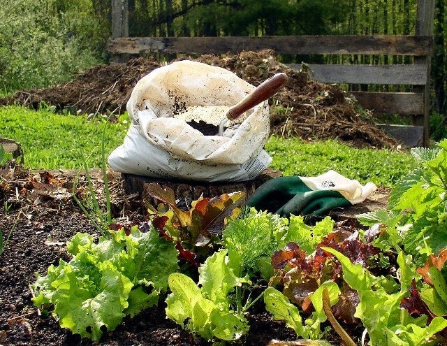Save plastic bags to use for storing finished compost.
