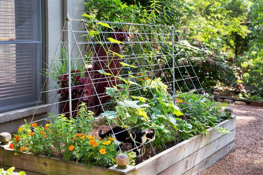 Use Cattle Panels As A Trellis 3 Ways To Use Cattle Panel Fencing