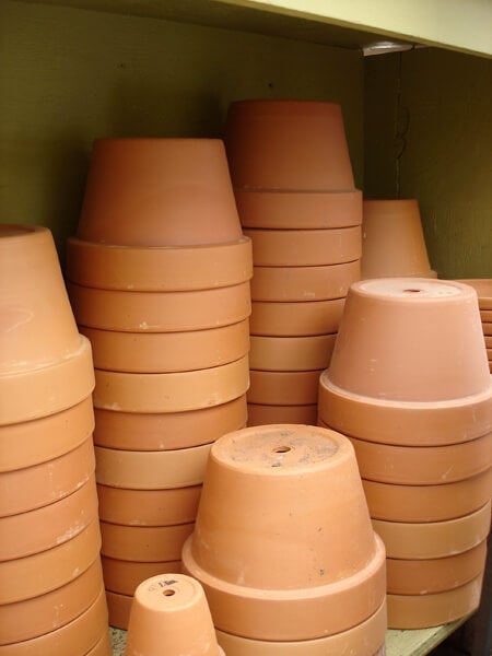 Clay containers are a traditional choice. Look for frost proof clay if you plant to keep pots out during the winter.