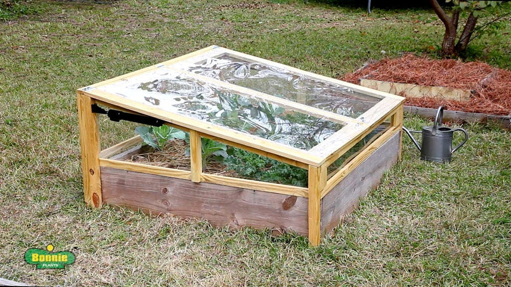 A cold frame sits on top of a raised bed to keep plants warm and protected.