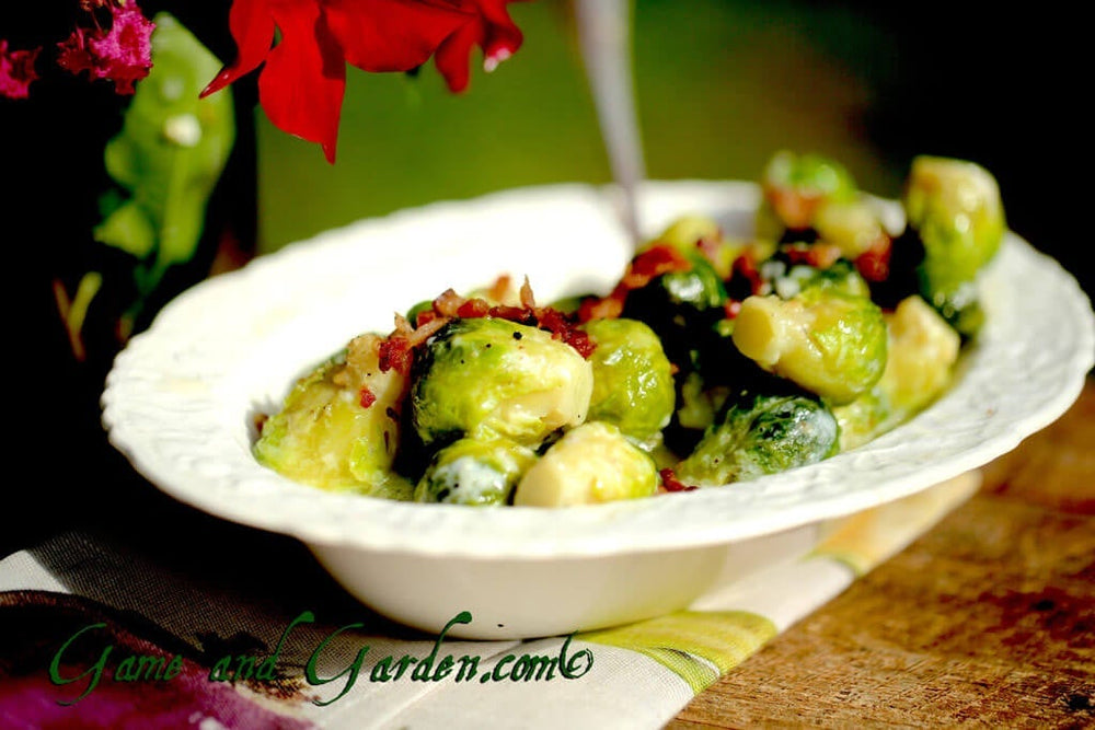 dish of Creamed Brussels Sprouts