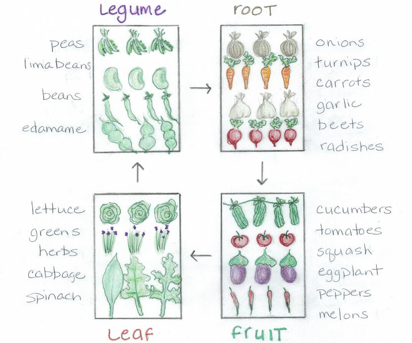 Crop Rotation Made Easy – Bonnie Plants