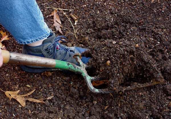 digging rich soil