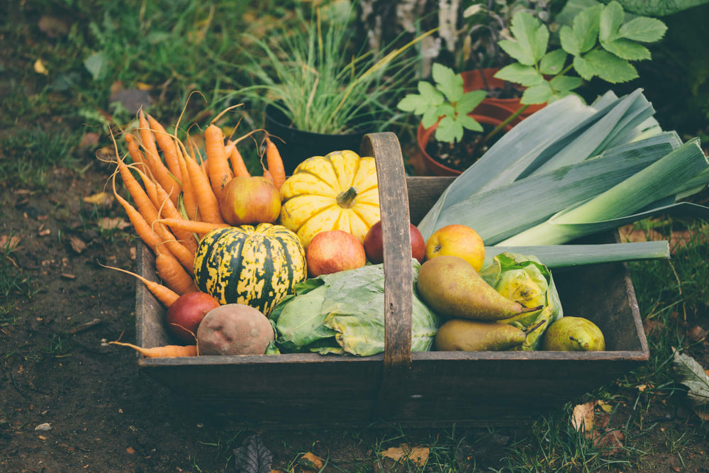 Wooden basket full of fresh, organic vegetables