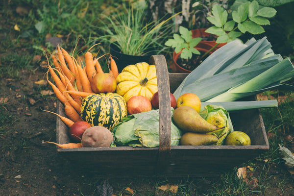 Wooden basket full of fresh, organic vegetables