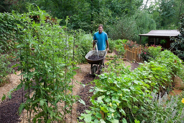 Gardener bringing dirt in a wheelbarrow