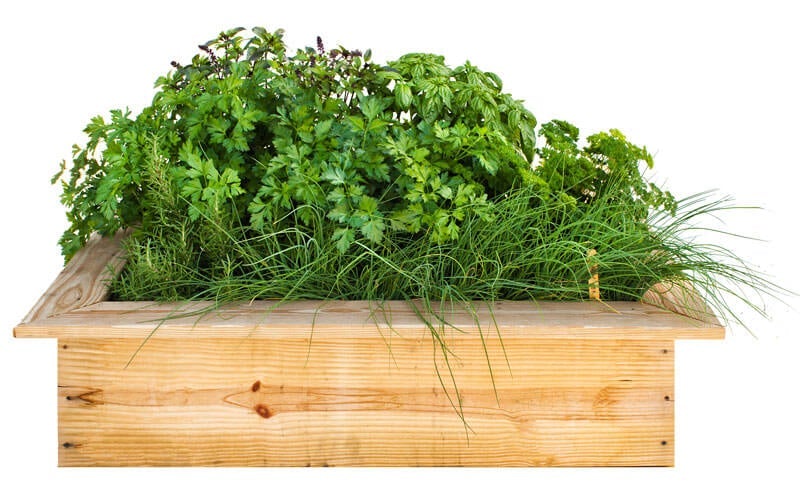 Plant this herb bed for year-round flavor.