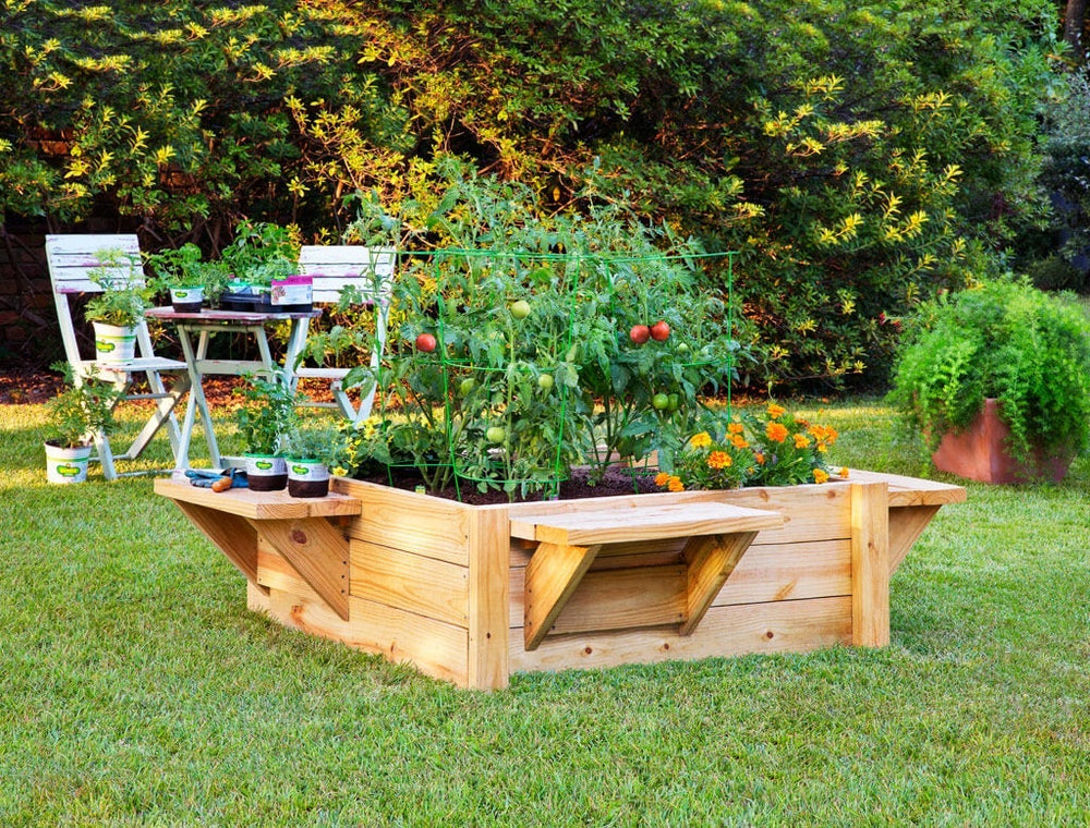 raised bed with benches