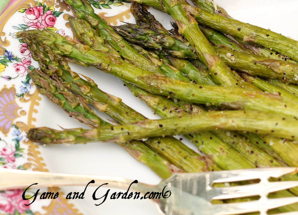 Roasted Asparagus Feature