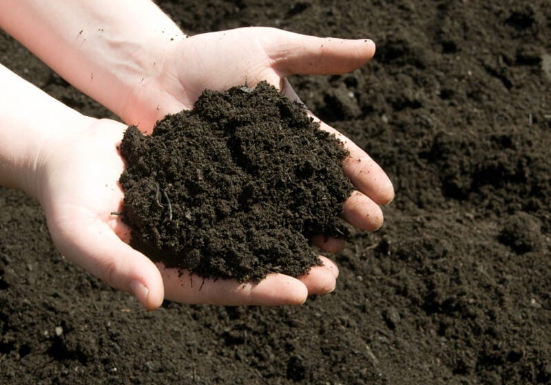 Knowing the pH of your soil is important to ensuring a successful growing season.