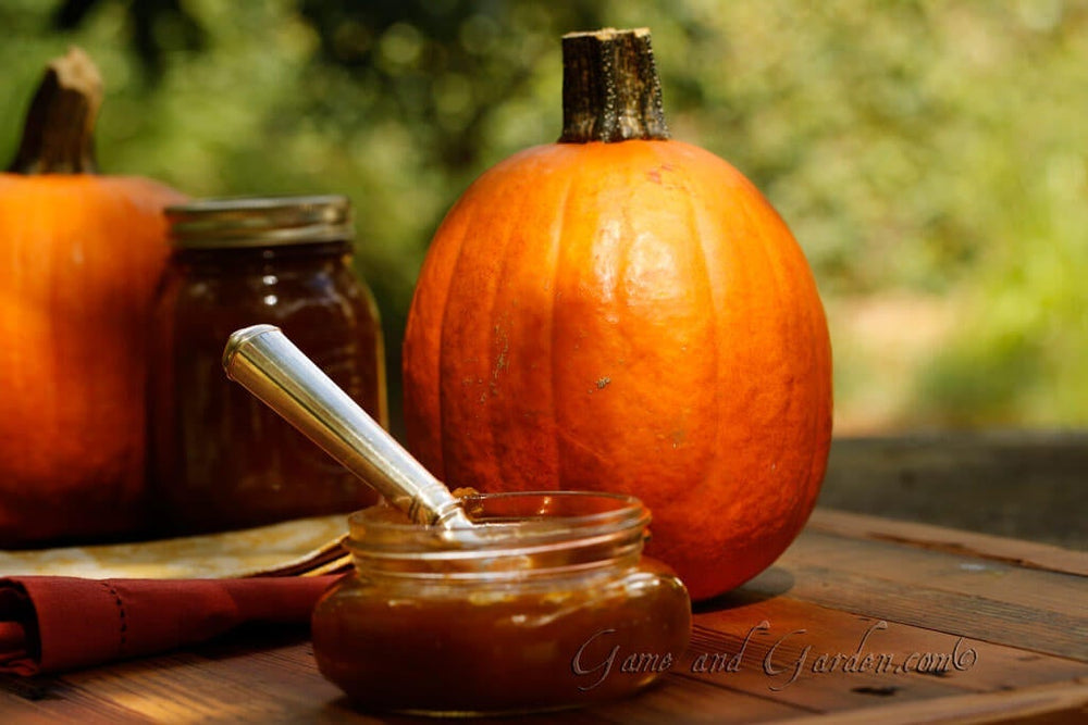 jar of spiced pumpkin butter in front of pumpkin