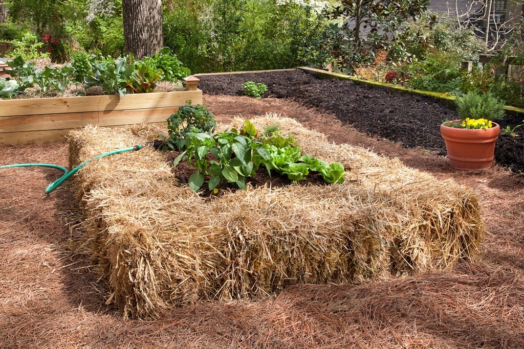 Image of Straw bale raised flower bed