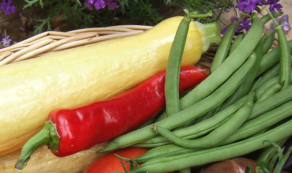 Store Summer Vegetables: basket of summer veggies