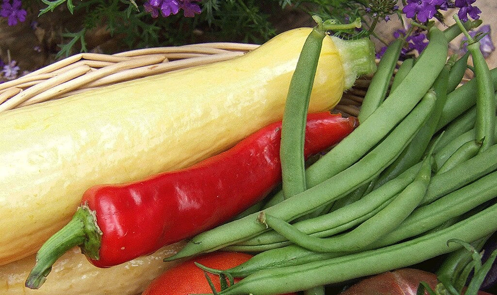 Harvesting and storing home garden vegetables
