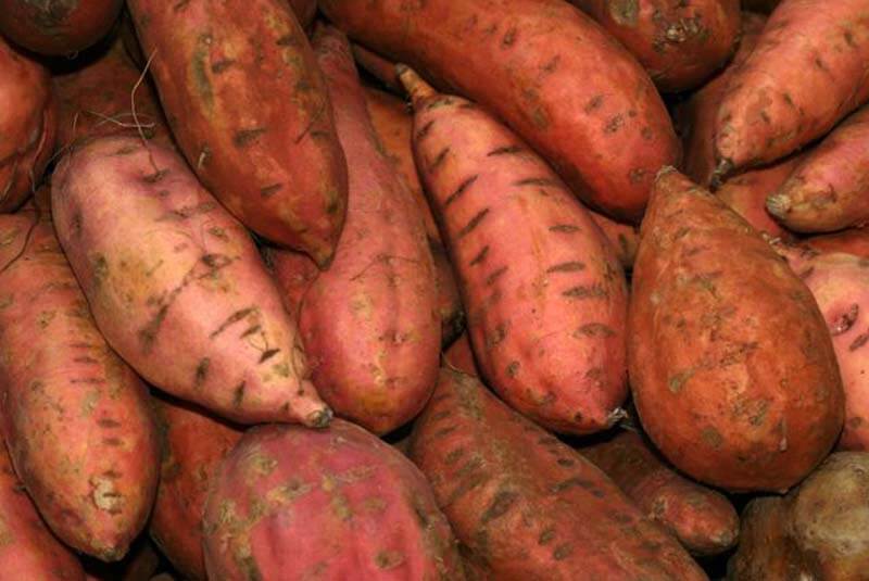 BonnieS Sweet Potato Gook