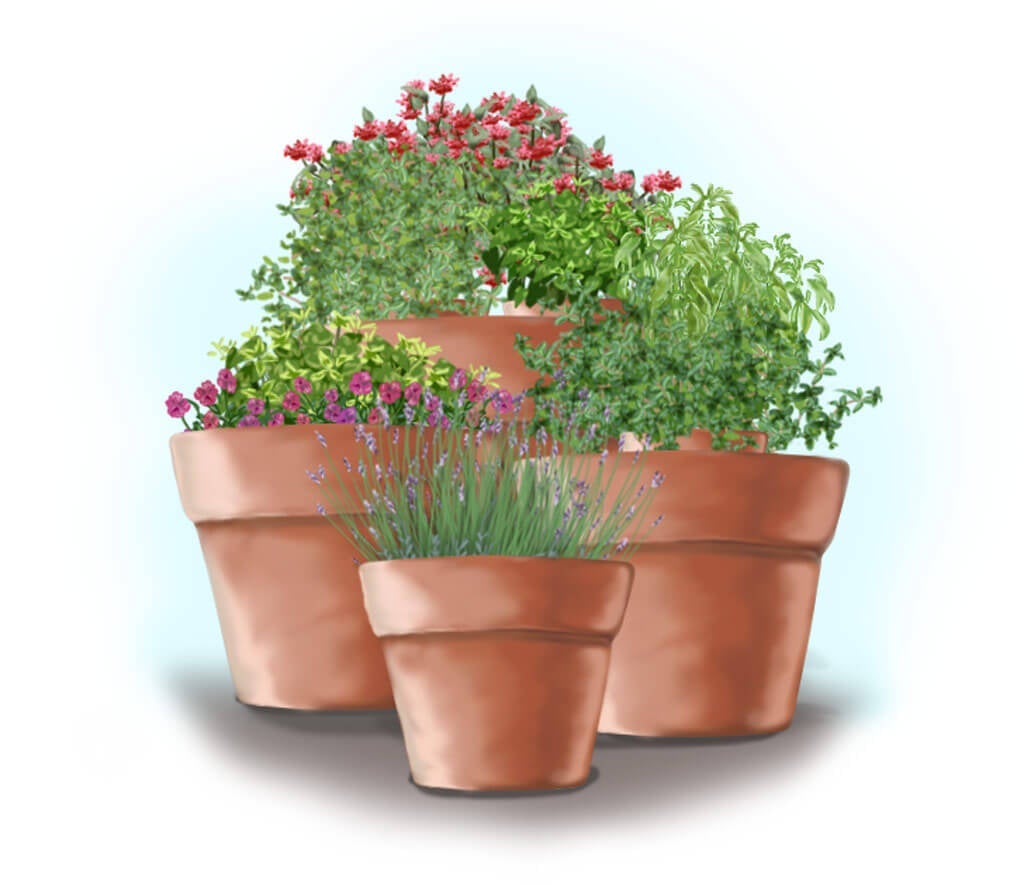 https://bonnieplants.com/cdn/shop/articles/tea-container-garden-front-web_e0967aa3-6bfe-499c-9504-89cd5d258756.jpg?v=1642541719