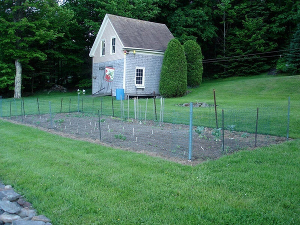 A good site for a vegetable garden will have plenty of sun, water, and well draining soil.