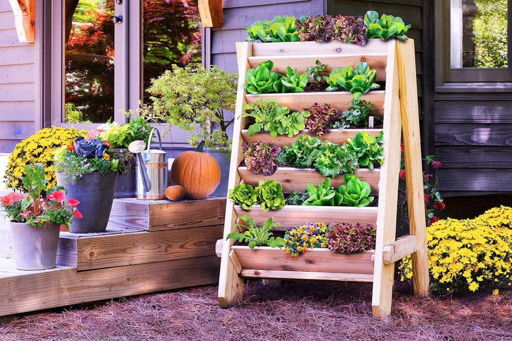 vertical planter with lettuce